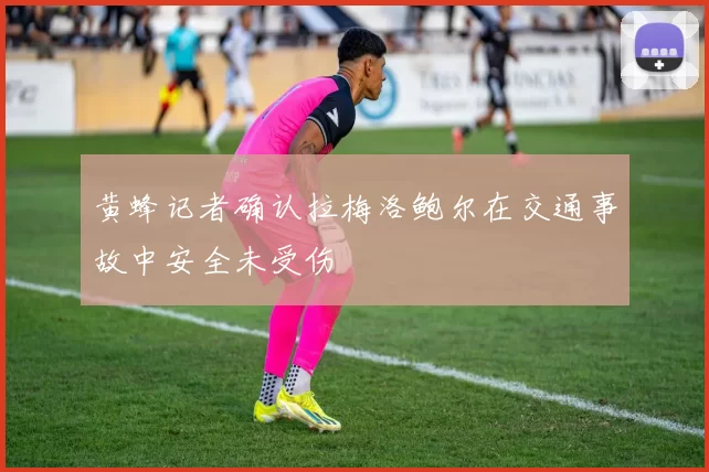 黄蜂记者确认拉梅洛鲍尔在交通事故中安全未受伤