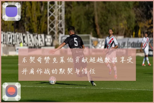 东契奇赞克莱伯贡献超越数据享受并肩作战的默契与信任
